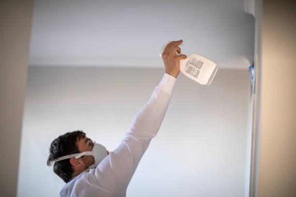 Best Mold Removal Process  in Masontown, PA