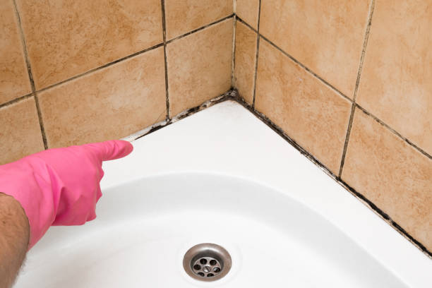 Best Mold Testing  in Masontown, PA